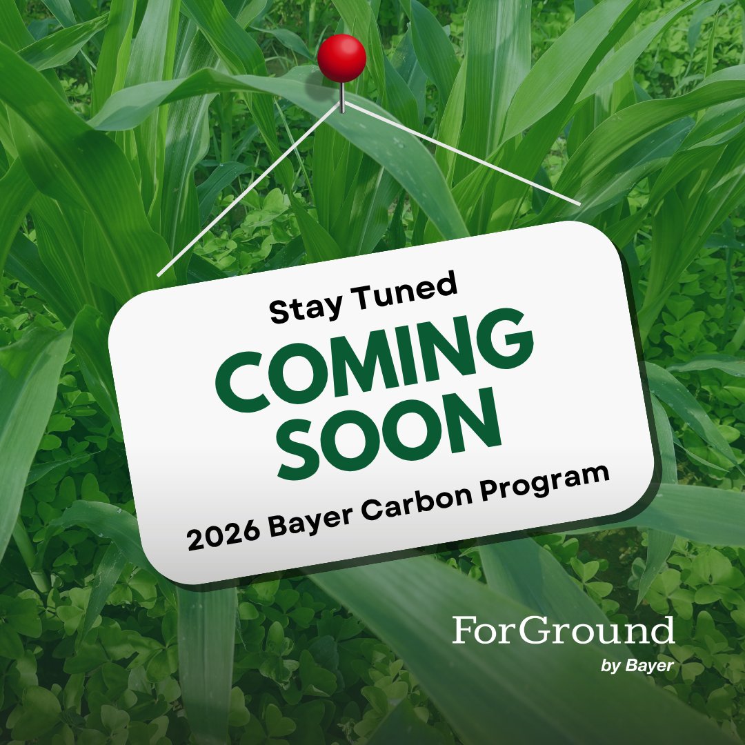 ForGround_Bayer's tweet image. 🌱 Stay tuned. The 2026 Bayer Carbon Program is coming soon.

We’re working to build what’s next—focused on real practices, real farms, and real value for growers. More details coming soon.

#ForGround  #SoilHealth #RegenerativeAg #FarmFuture