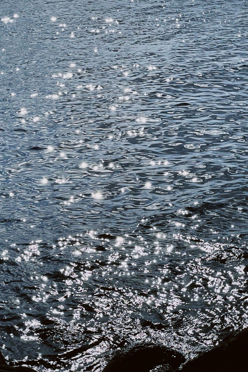 한 해, 잘 살았니?