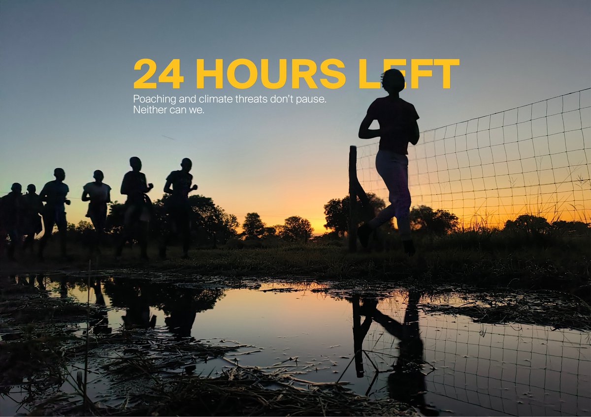 Akashinga tweet media