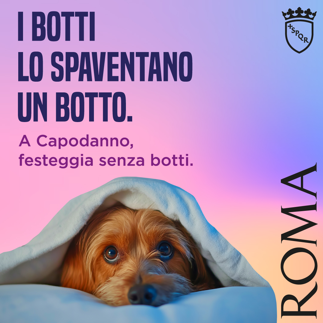 Roma tweet media