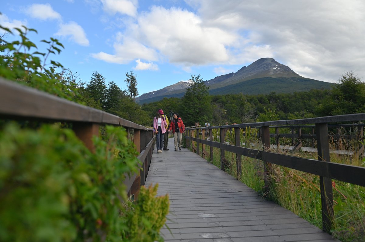 Tierra del Fuego - Fin del Mundo tweet media