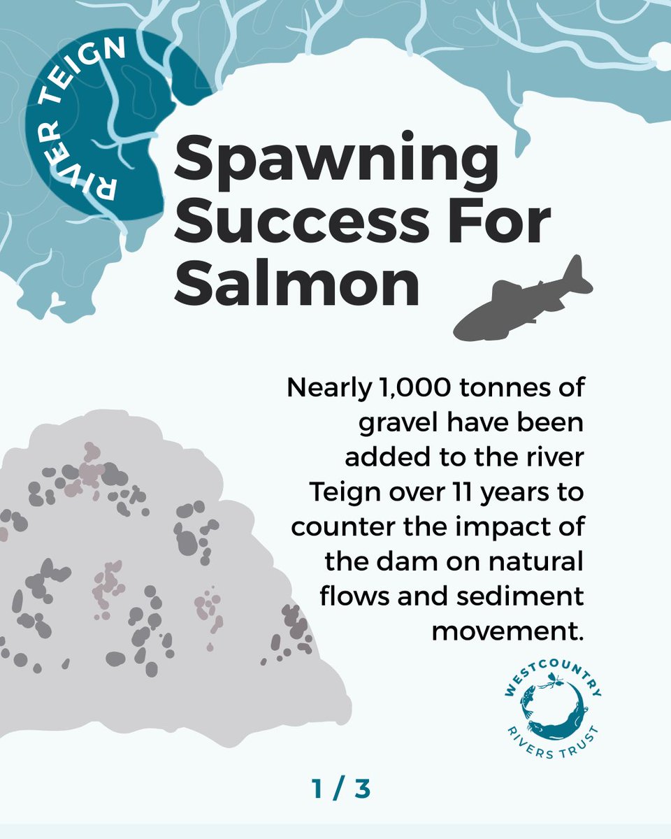 Westcountry Rivers Trust tweet media