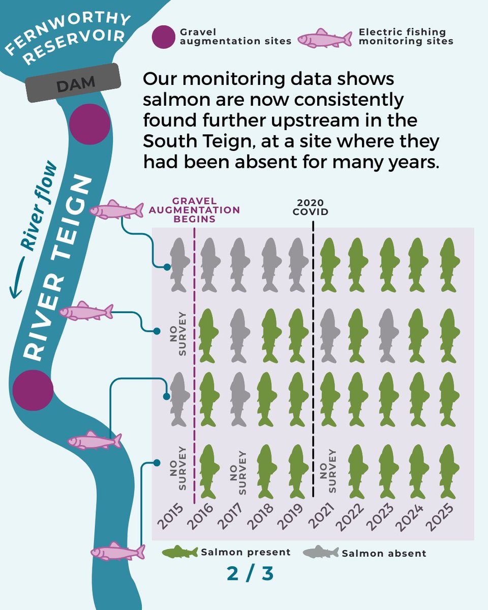 Westcountry Rivers Trust tweet media