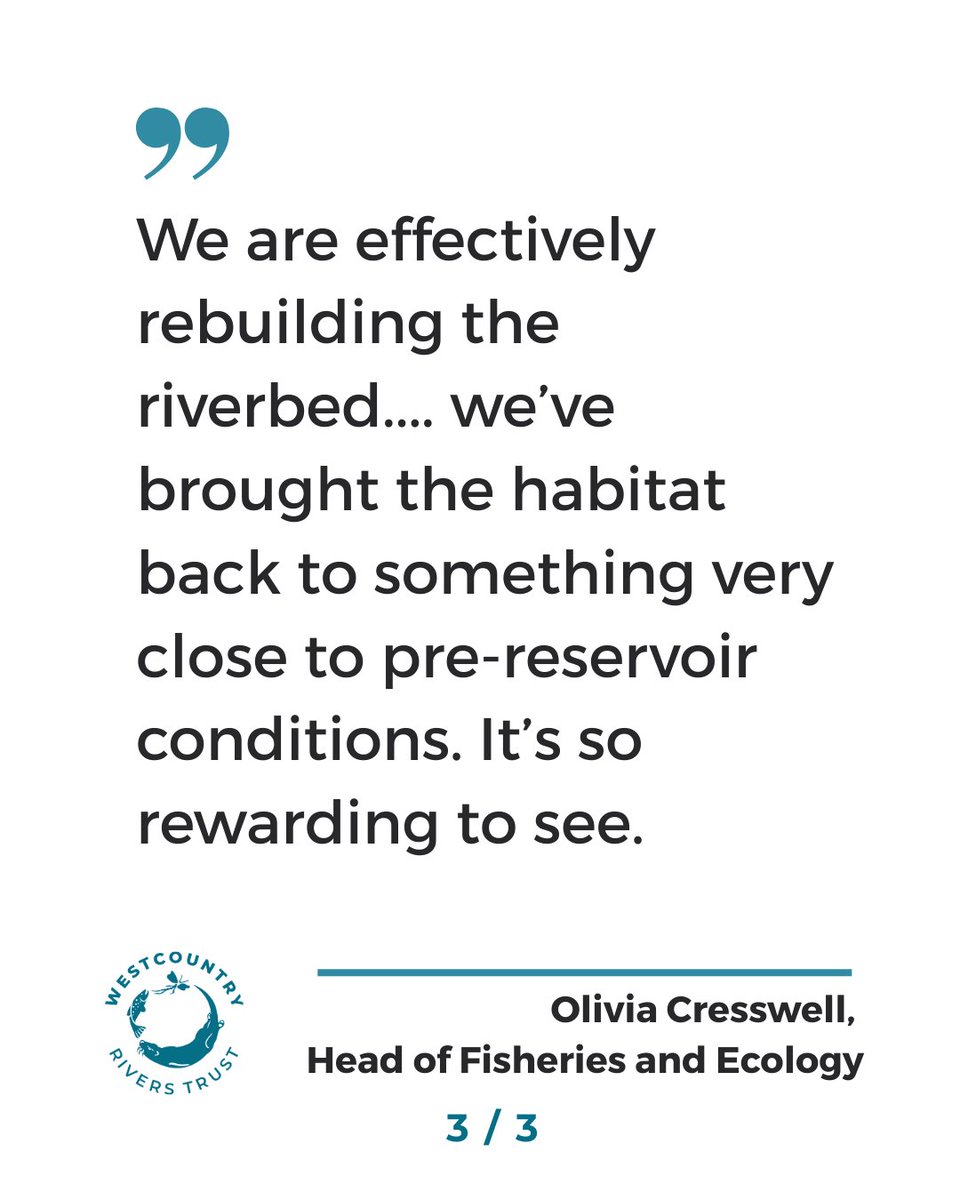 Westcountry Rivers Trust tweet media