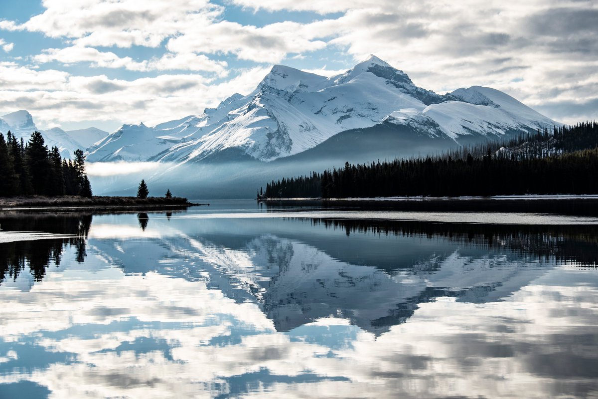 Canada tweet picture