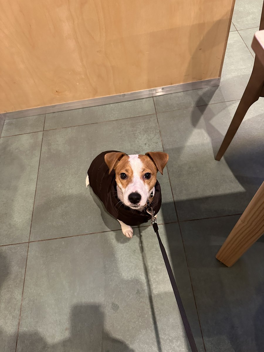 - А где мои подарки?!