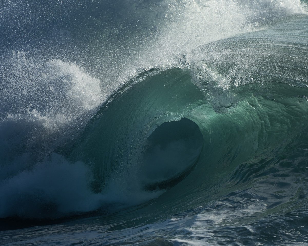 The ocean has given me many special moments this year. This is one of my favourites. HNY.