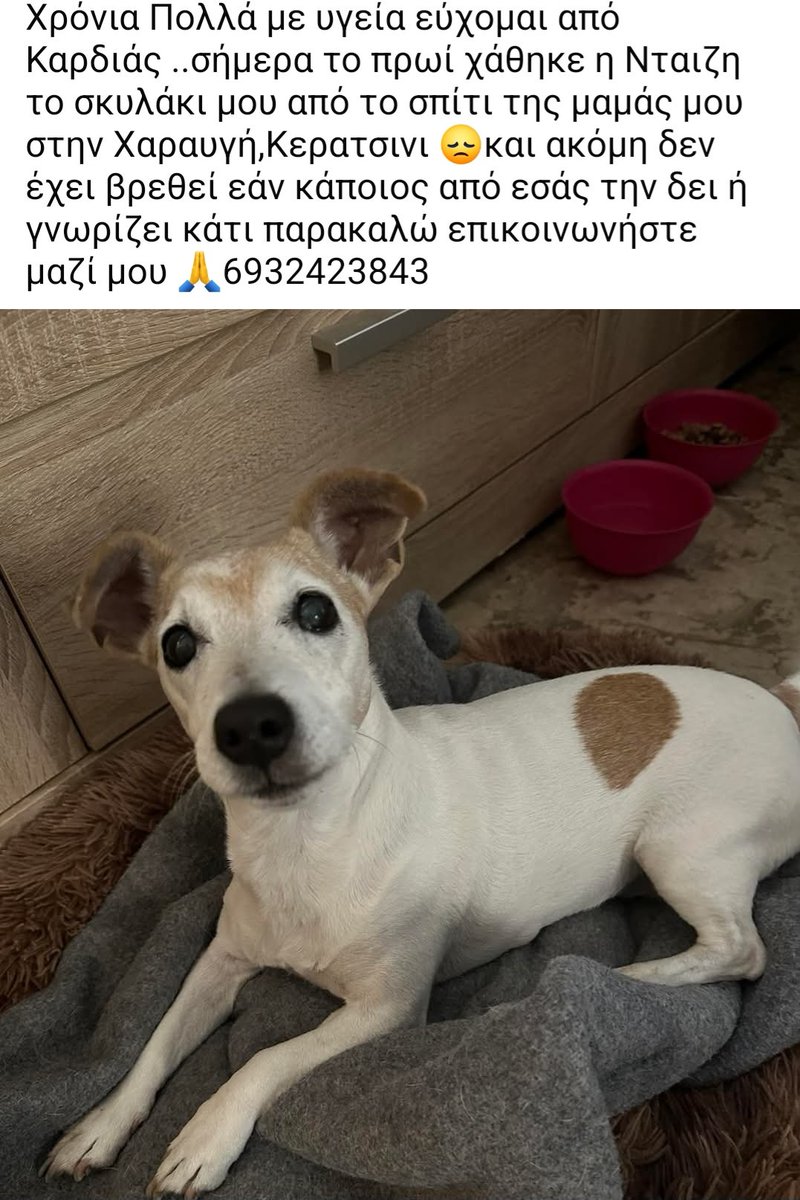 KatKatPt's tweet photo. 🆘️🆘️🆘️
Χάθηκε στη Χαραυγή,Κερατσίνι η Νταιζη
Για οποιαδήποτε πληροφορία καλέστε άμεσα στο τηλ
Rt 🙏 🙏 🙏 https://t.co/JE9a4WAoPJ
