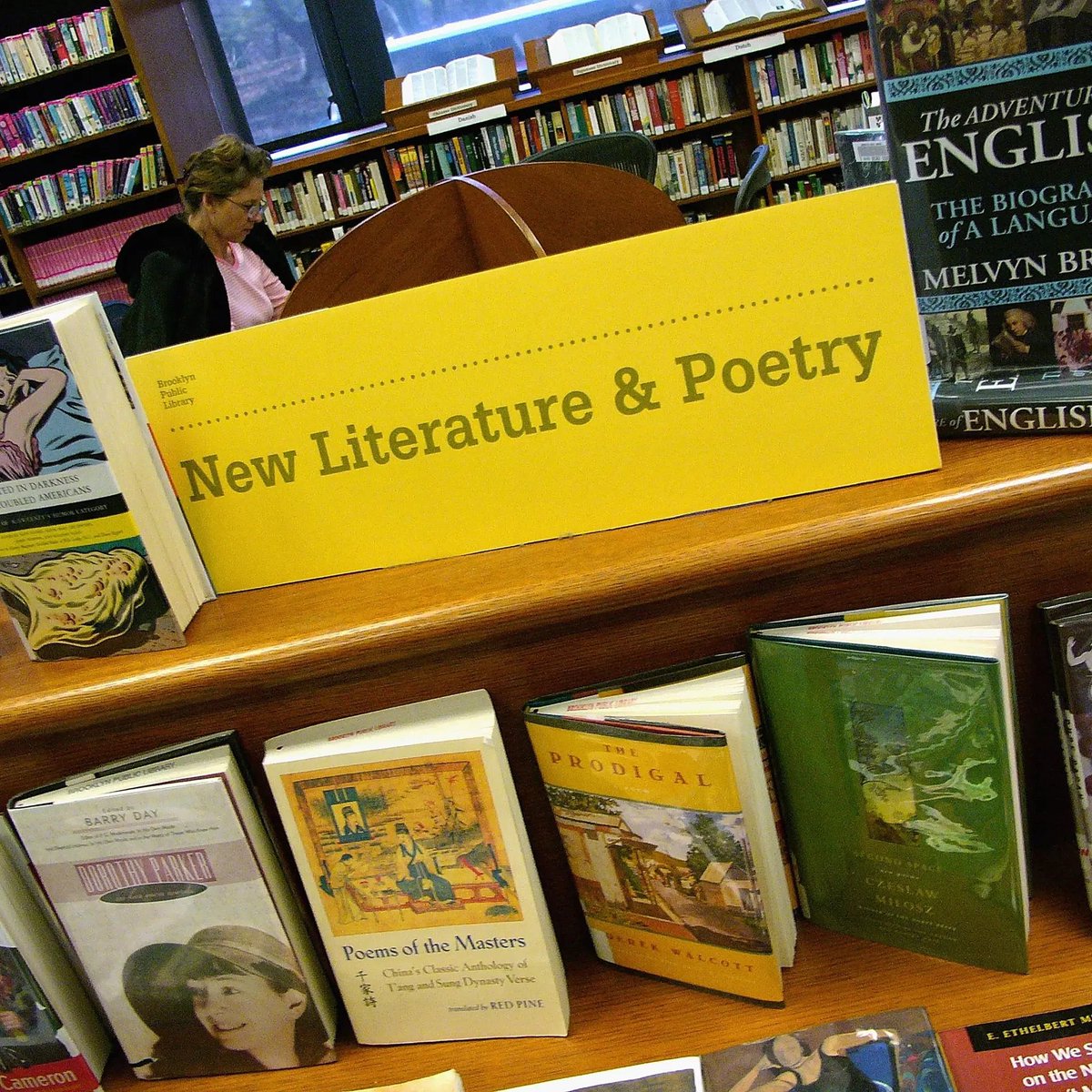 Is Reading More Than 30 Books a Year a Bad Thing?

This, somehow, is an actual argument on X.

MORE 🔗bit.ly/3N3zYNt