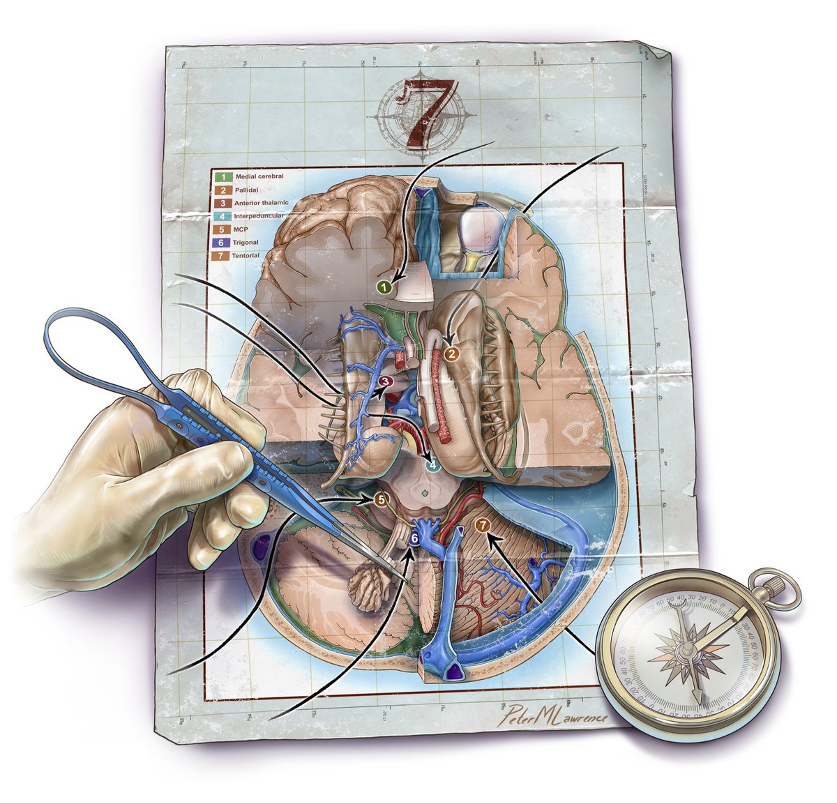 Peter M. Lawrence tweet media