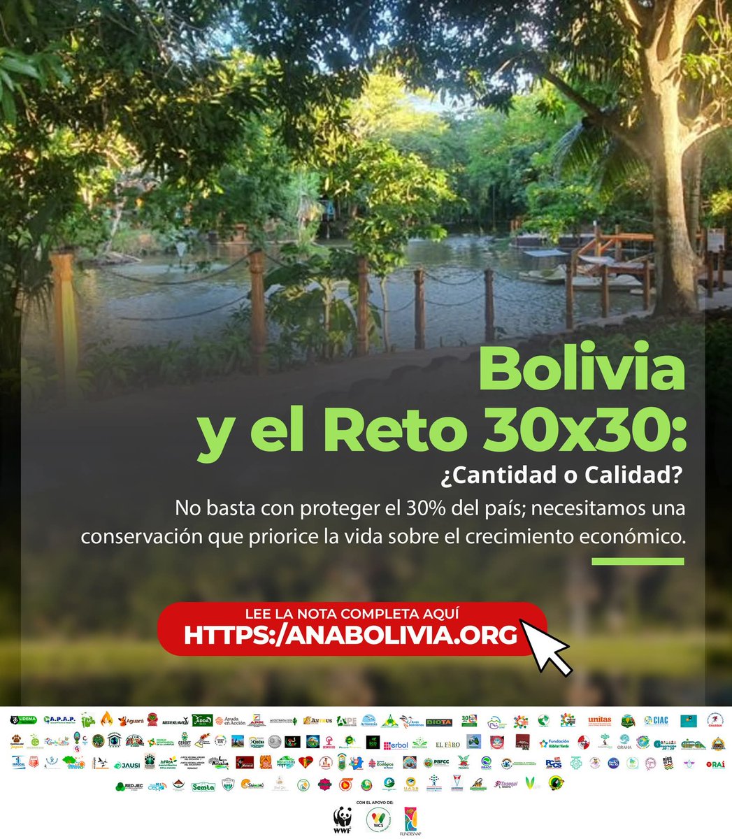 anabolivia.org/incrementar-el…