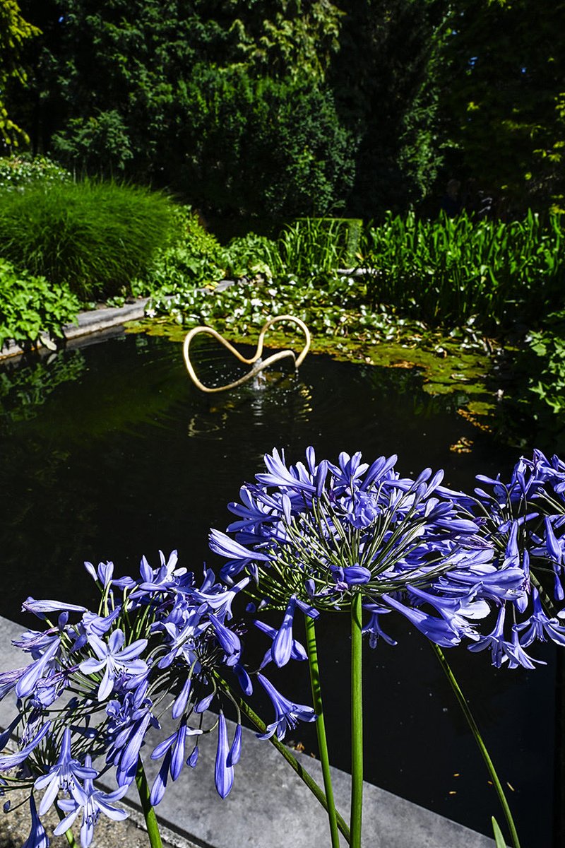 📍Maliesingel 28, K.F. Hein Fonds 🌳

K.F. Hein Fonds kocht het pand aan de Maliesingel in 1992, incl. tuin met een rechthoekige vijver en een gazon omringd door naaldbomen. Groenontwerpers Copijn Utrecht maakte een nieuw ontwerp met groot terras, plantenvakken en -borders 🌿🪻