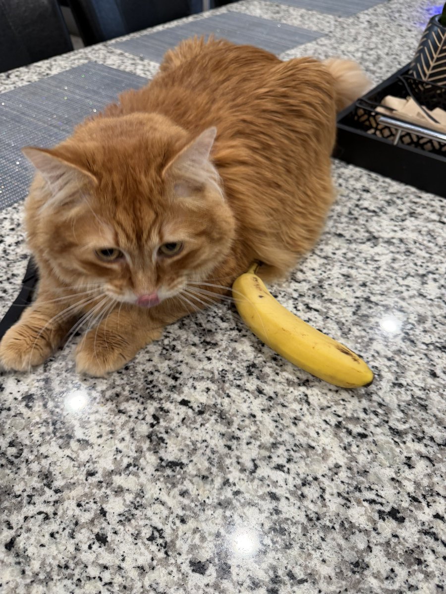 AJamesMcCarthy's tweet photo. Banana for scale https://t.co/ZWbViTT8N6