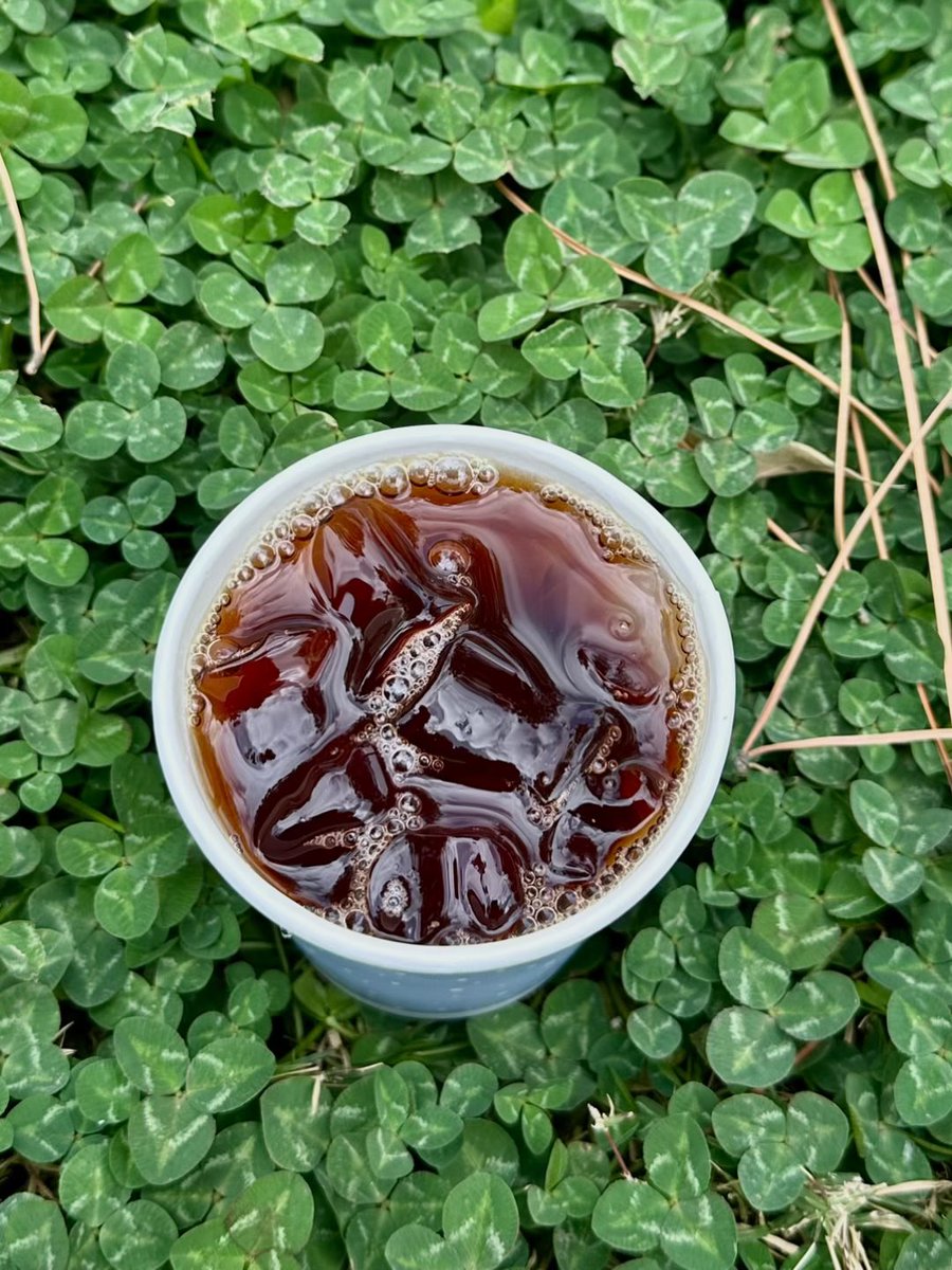 Sea Whale tweet media