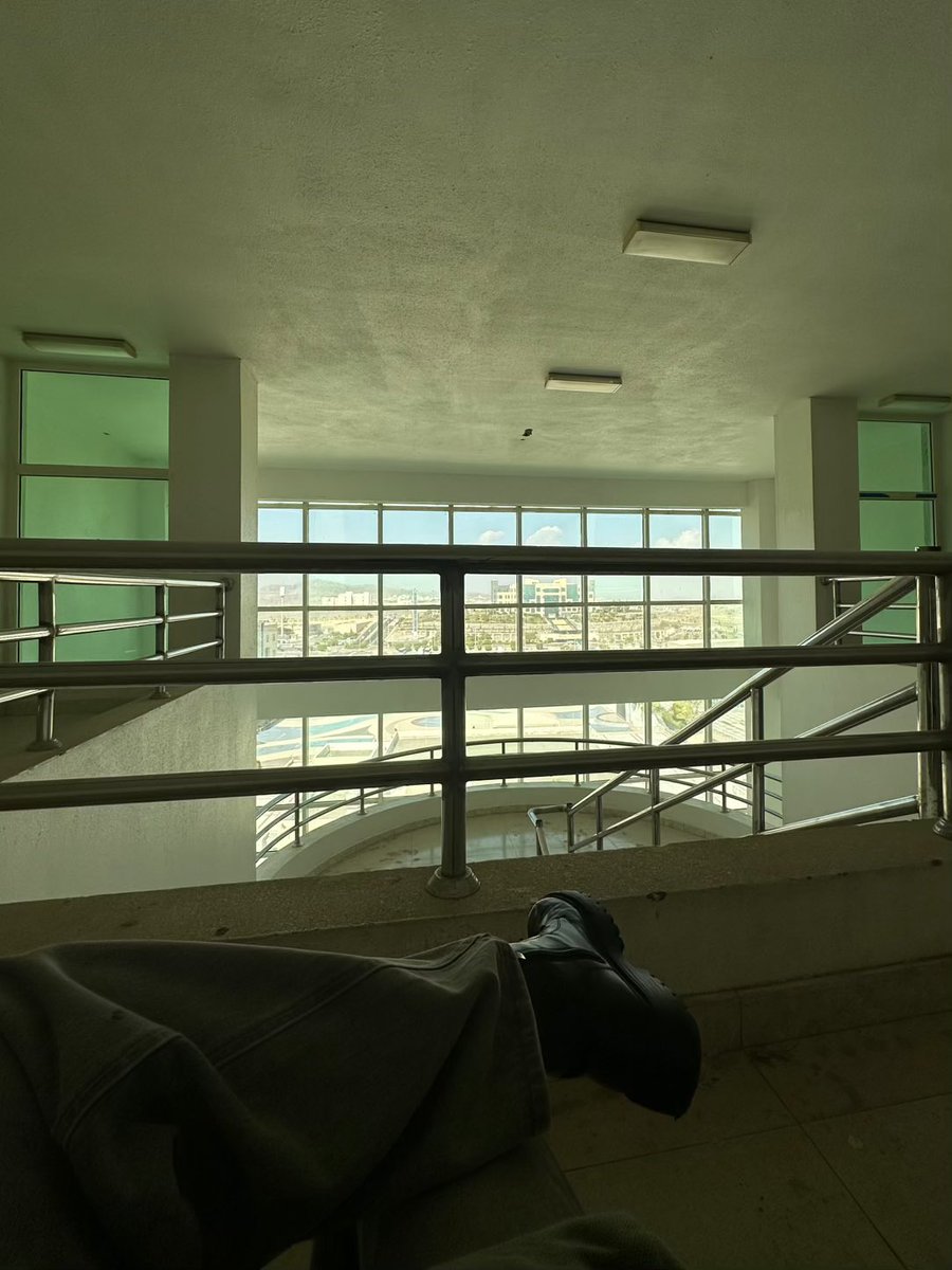 Sea Whale tweet media