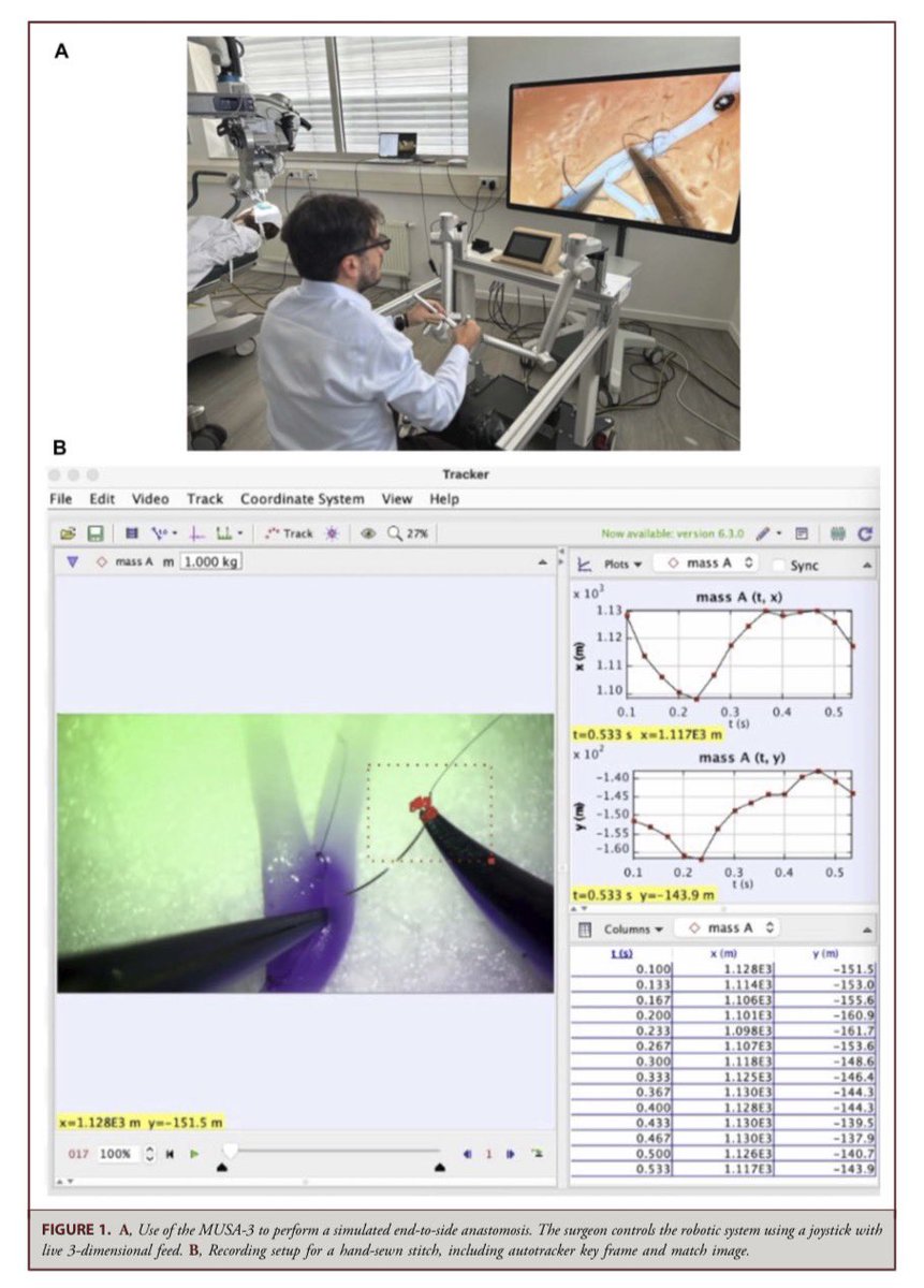 Erez Nossek tweet media