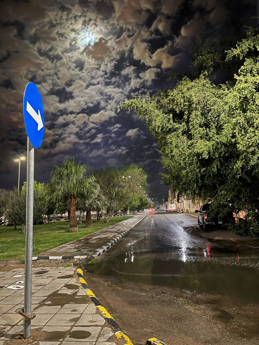 abdduidti's tweet photo. عشوائيات من ديسمبر  .. https://t.co/lLjrFMbrkA