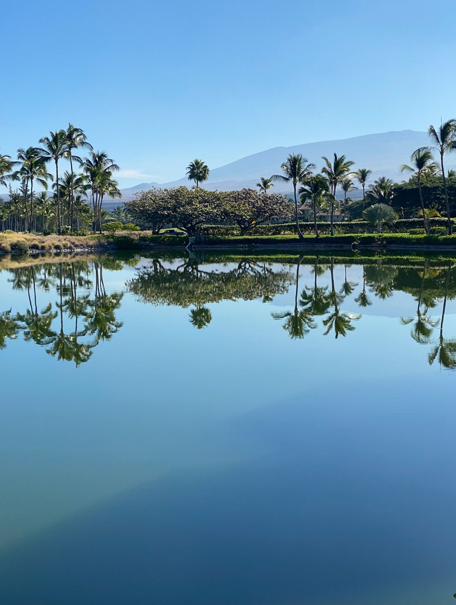 slavo cech tweet media