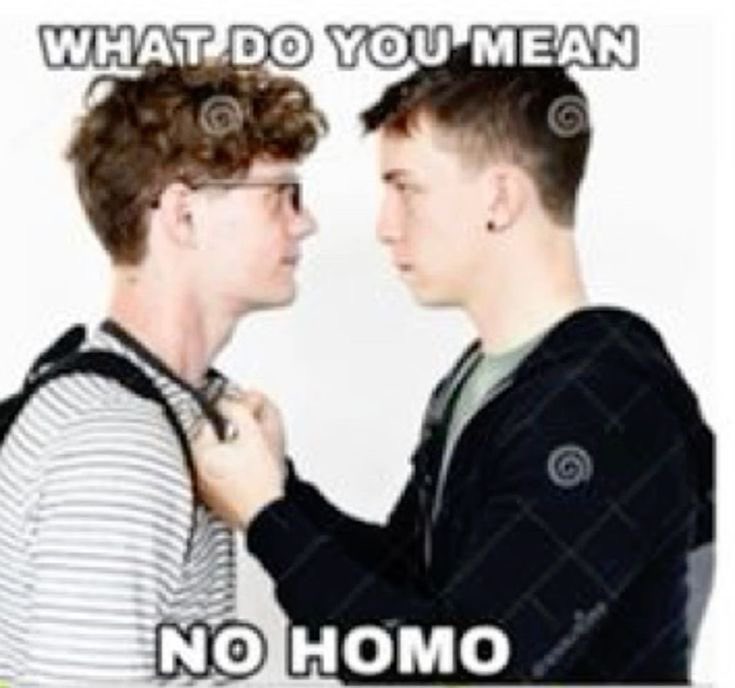 kiwiroxyz's tweet photo. no homo #catmintduo #hayech #megapvp https://t.co/iVI6t04bN3