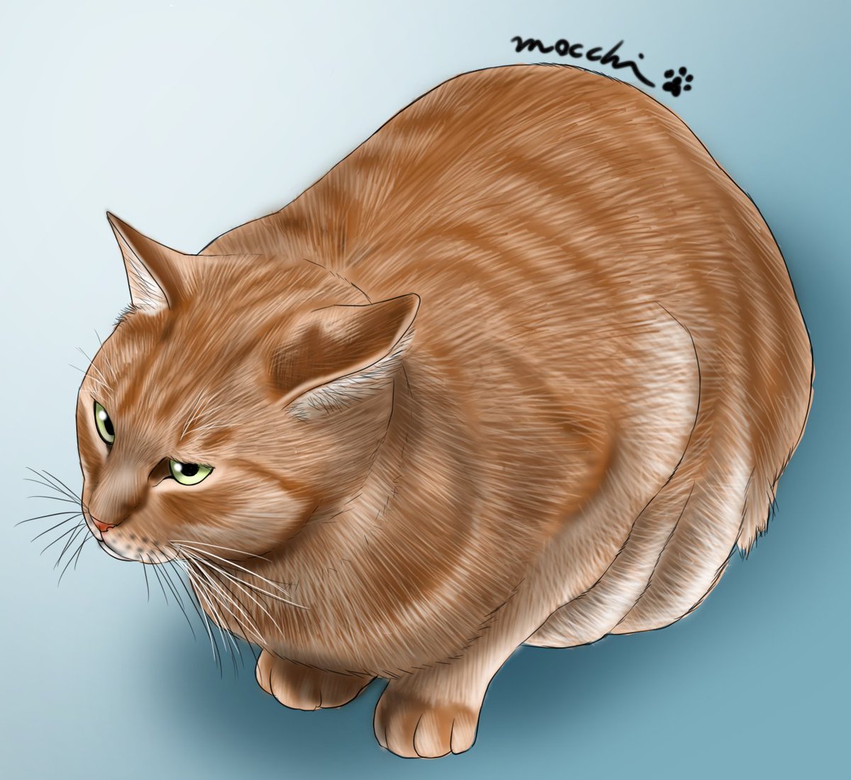 もっち（mocchi） (@mocchimocchi09) / Posts / X