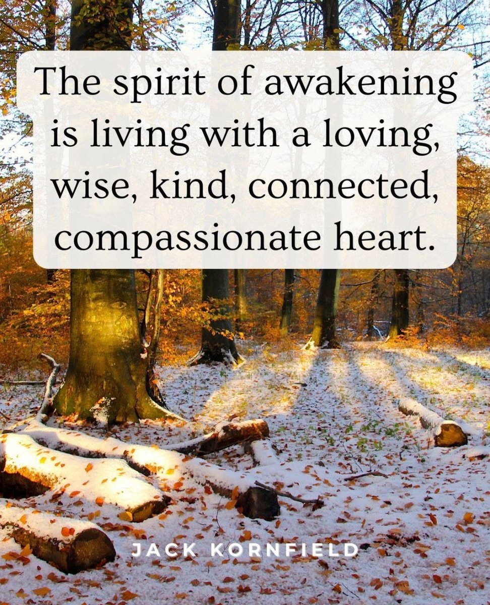 JackKornfield's tweet photo. When we rest in our true nature along the middle path, we discover a heart of greatness amidst it all. 💛

#wiseheart #spiritualpath #meditation #yoga #jackkornfield https://t.co/Y2ndlLpPw6