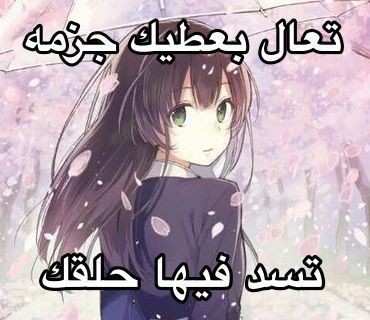 𝐫𝐞𝐧𝐝𝐚 ᓀ‸ᓂ tweet media