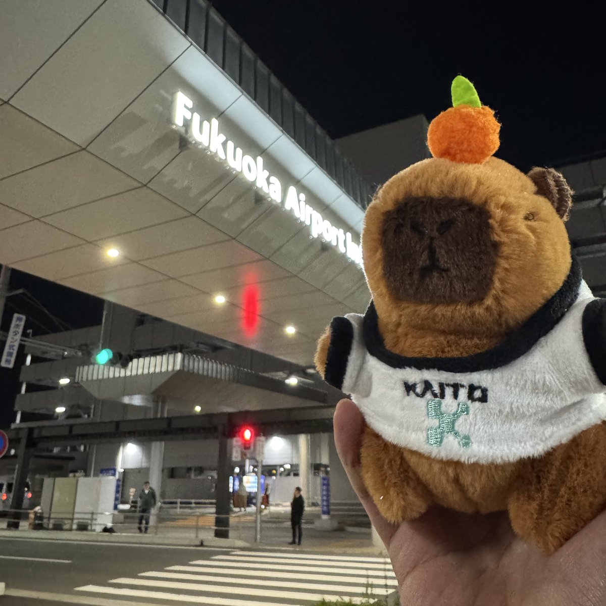 marcecat28's tweet image. did a late-night stress test on @KaitoAI, connected my EVM wallet, staked 1 $KAITO, posted 1-2 yaps and actually moved on the leaderboard. live app and sale incoming, double stars started today and TGE next #DefiInnovation

who else is farming phase 2 yaps?