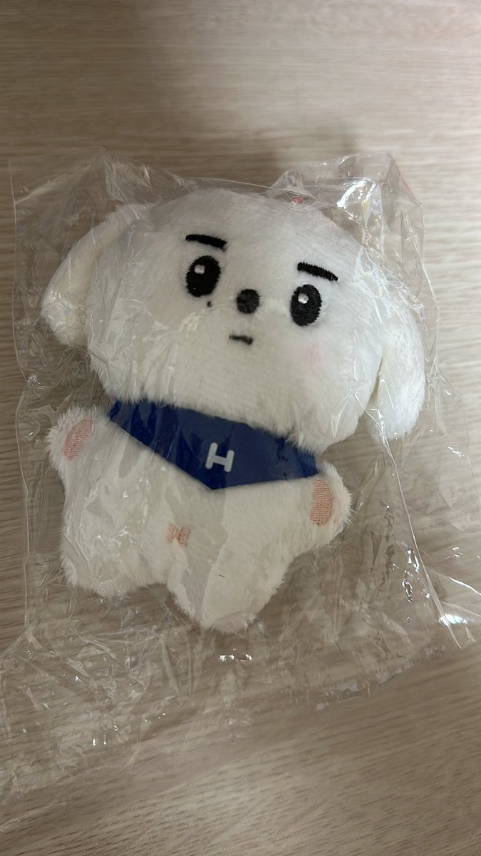 HaniiiJ5's tweet photo. 엔하이픈 성훈 인형 양도합니다

Park Hans (외출x) 
반택/편택 가능

https://t.co/rYsf1A95u4

10cm 인형 양도 엔하이픈 성훈 정원 제이크 enhypen doll https://t.co/x44FYoJvFY