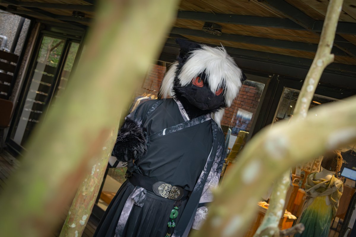 黑月影狼 tweet media