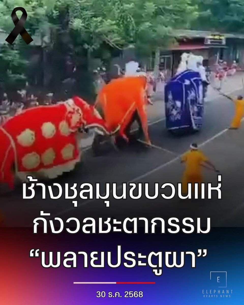 จริงๆก่อนหน้านี้กลุ่มทวงคืนช้างไทยยื่นหนังสือ ข้อมูลต่างๆใหัท่านไปหลากหลายมาก ไม่อยากดราม่า แต่ท่านสัญญารับปากจะไปตั้งแต่ต้นเดือนธันวา จนบัดนี้ไม่ไป..เกิดอันตรายต่อพลายประตูผาแล้ว 
#ทวงคืนช้างไทย
#ทวงคืนช้างไทยในศรีลังกา
#พลายประตูผา #พลายศรีณรงค์ 
Cr. FB:Elephant Hearts Thailand