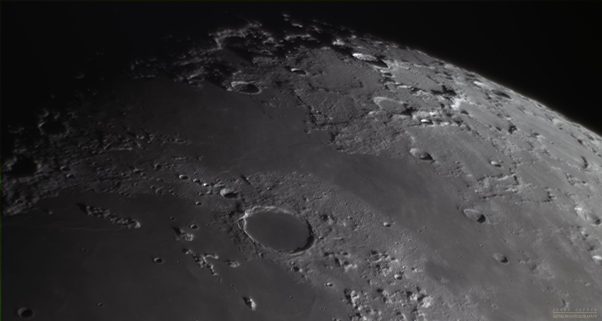 Jaume Zapata tweet media