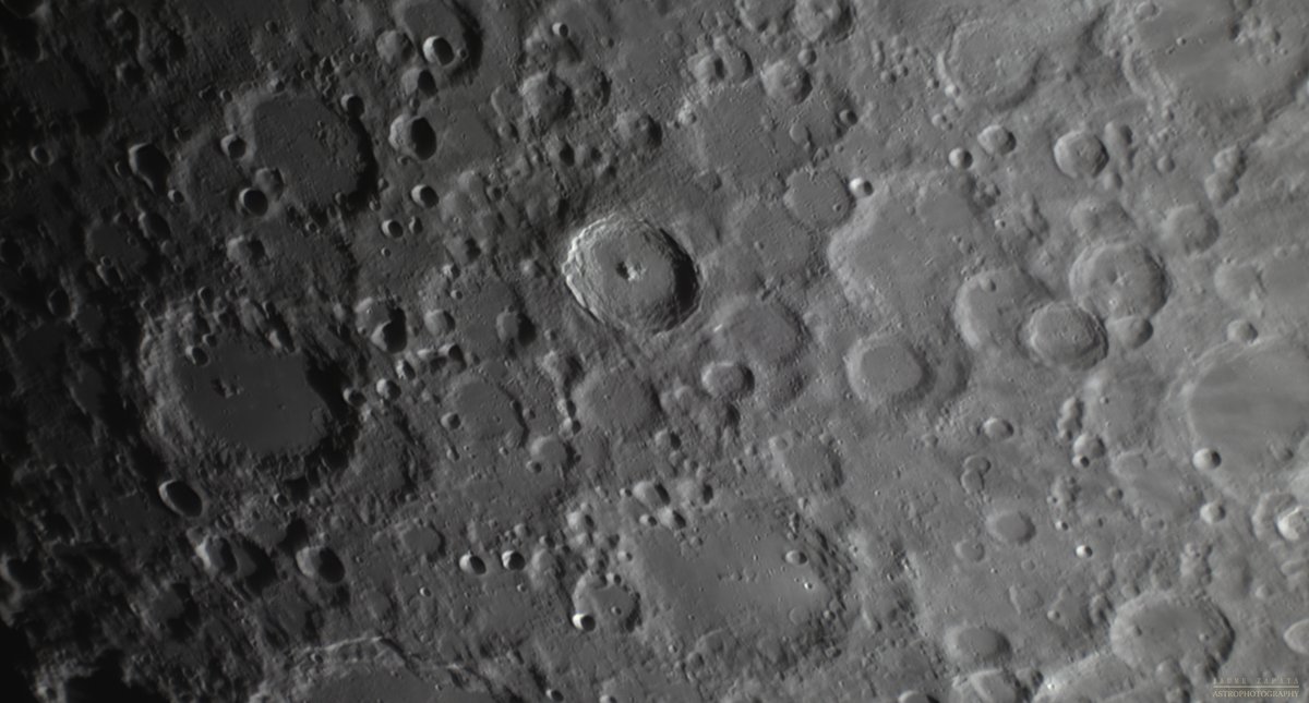 Jaume Zapata tweet media