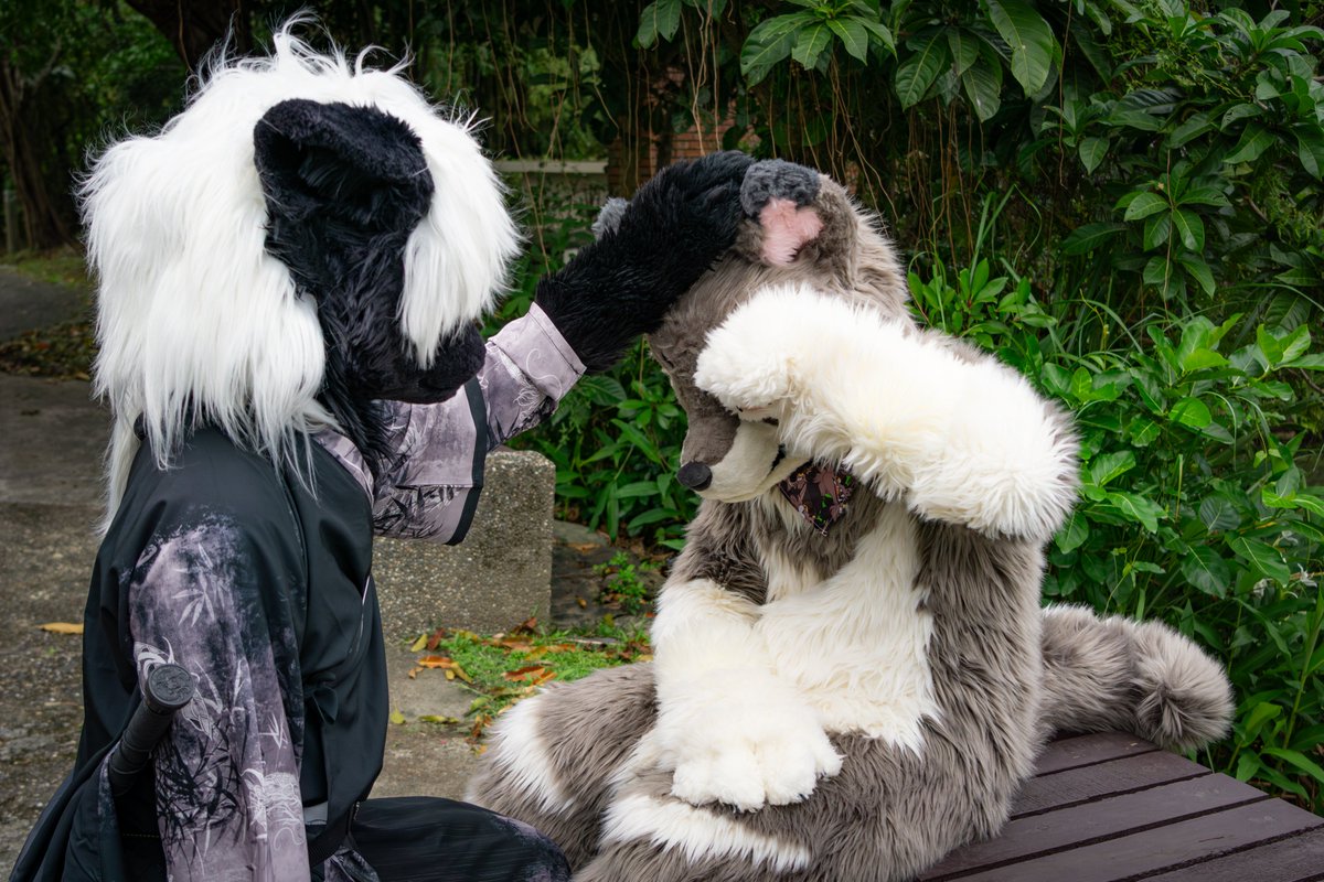 黑月影狼 tweet media