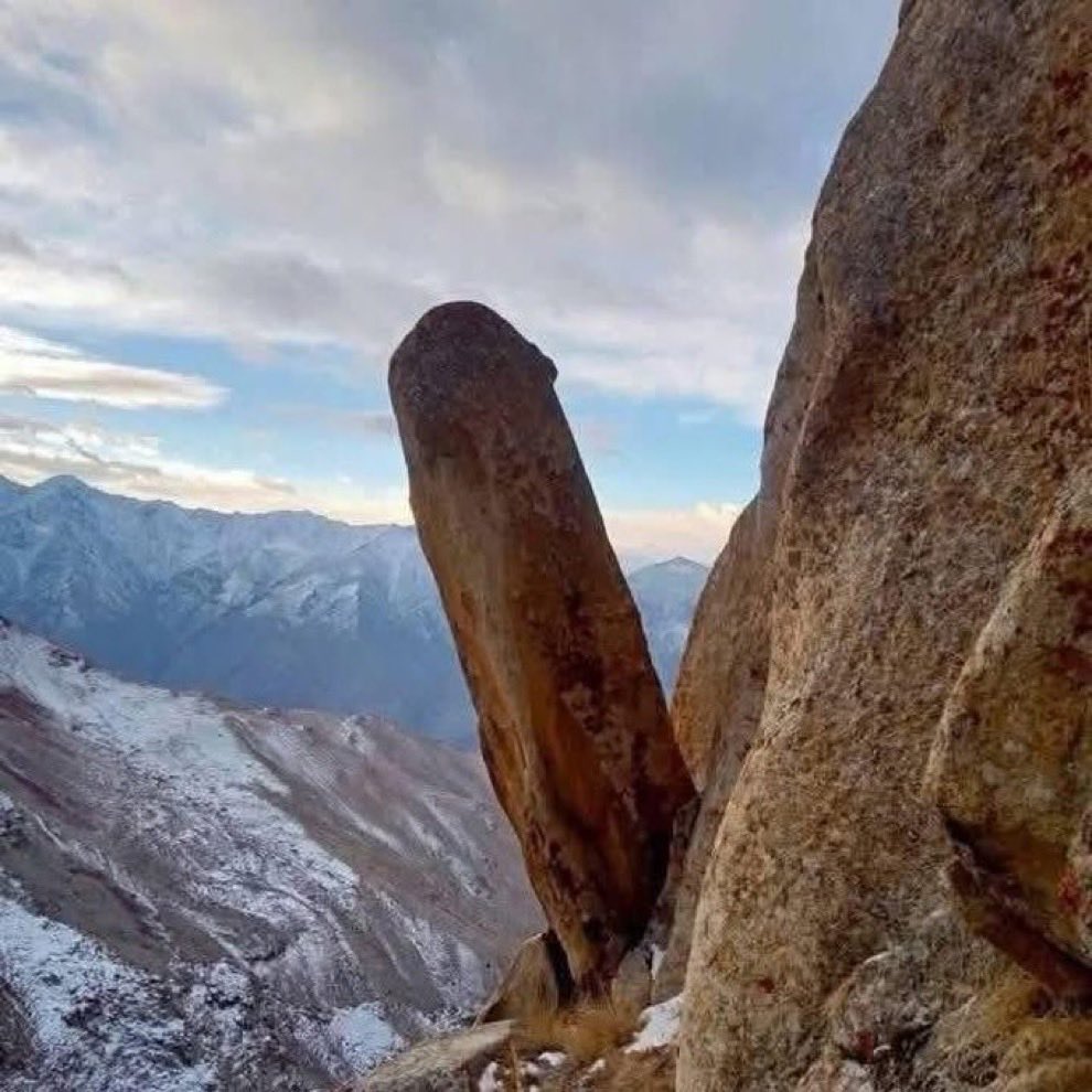 BialkoAndrew68's tweet image. That rock gotta calm the fuck down