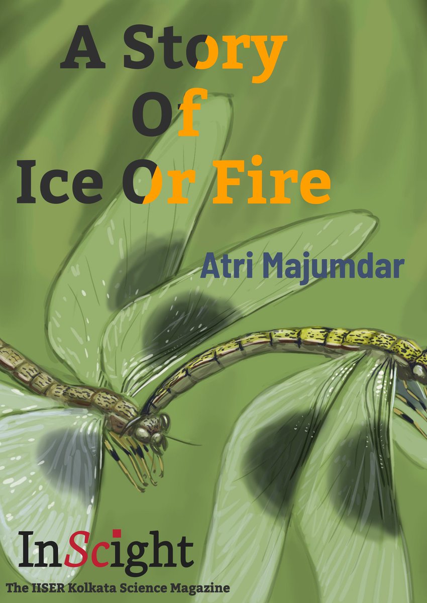 InScight tweet media