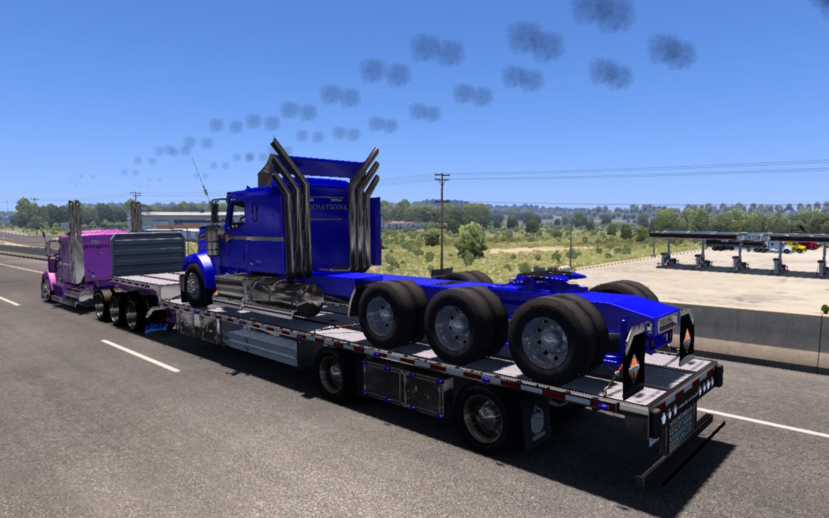 ちびすけ (@chibisuke9900) / Posts / X