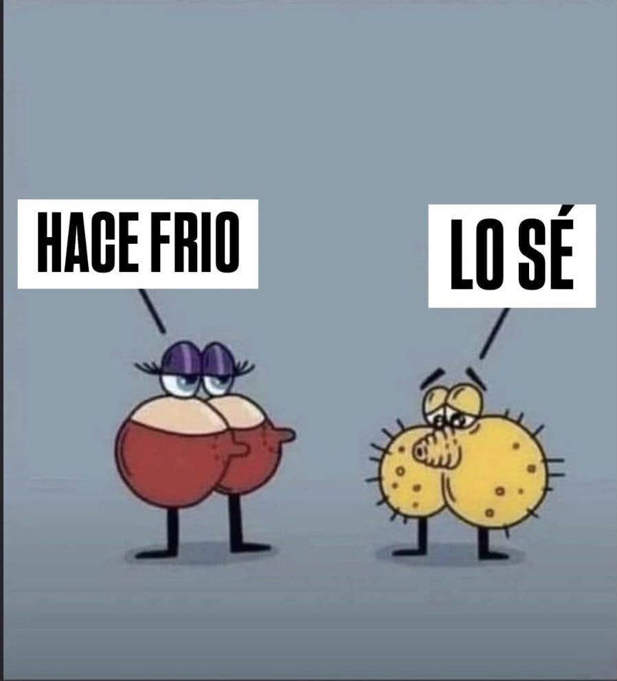 ju86010's tweet image. Buenos días! ☺️