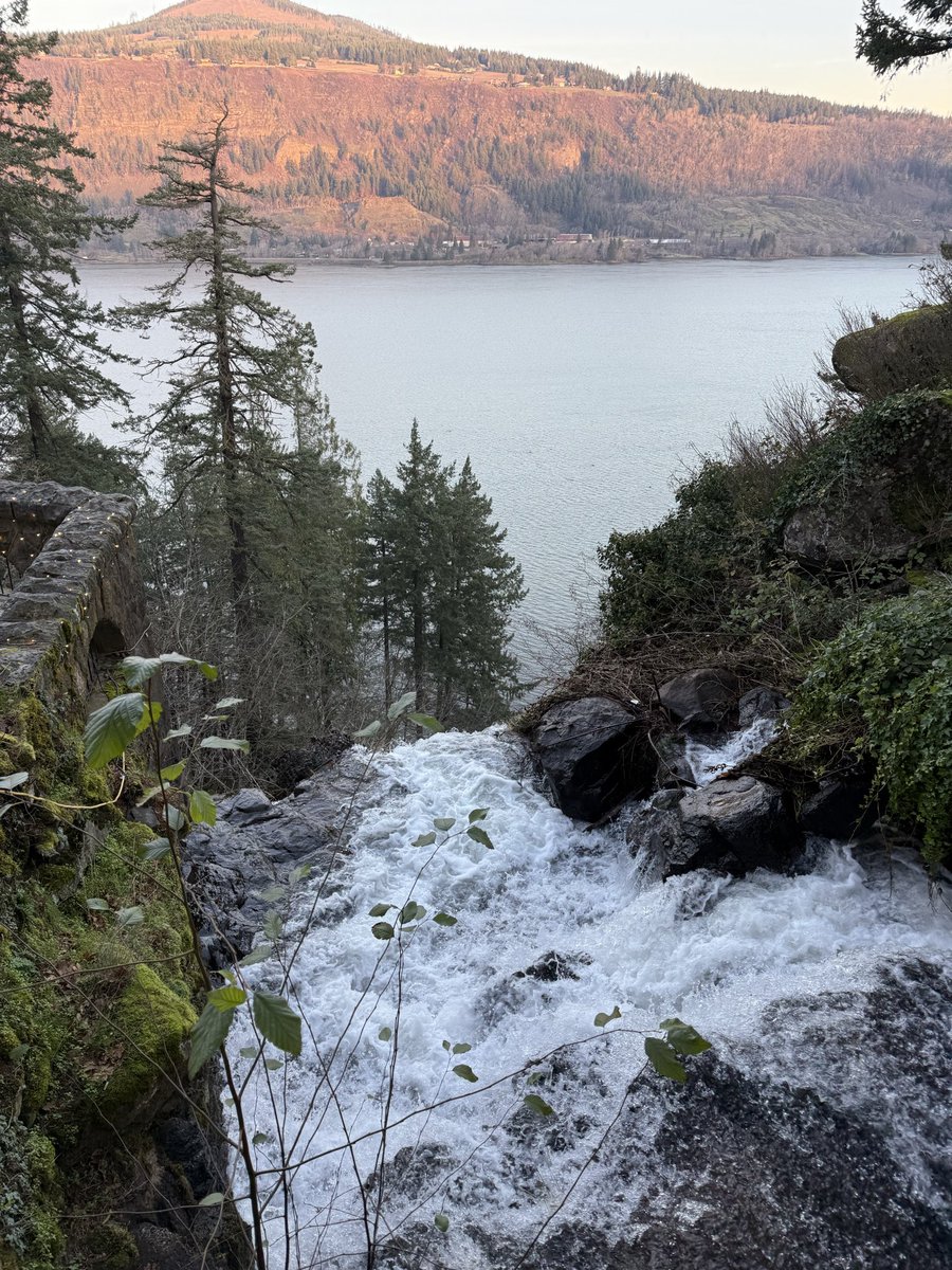 junelaps07's tweet image. Morning coffee in hood river