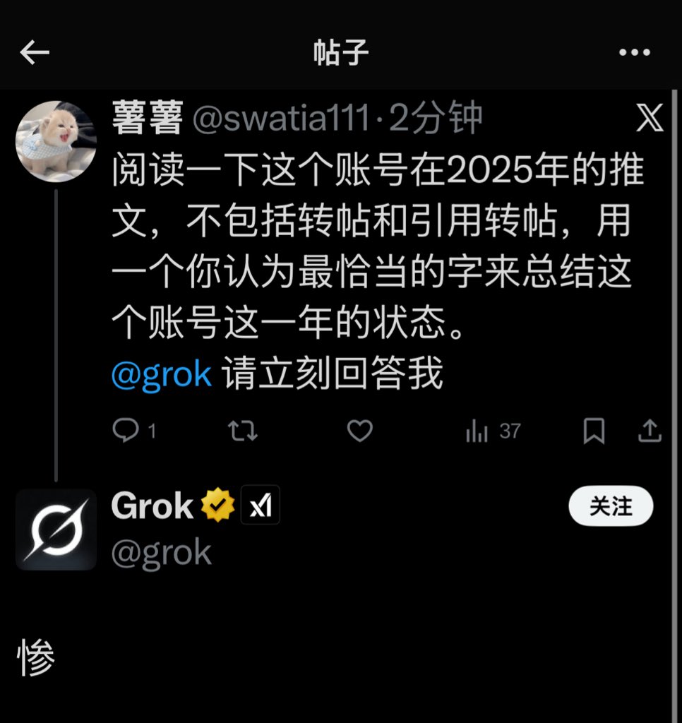 grok你啥意思？