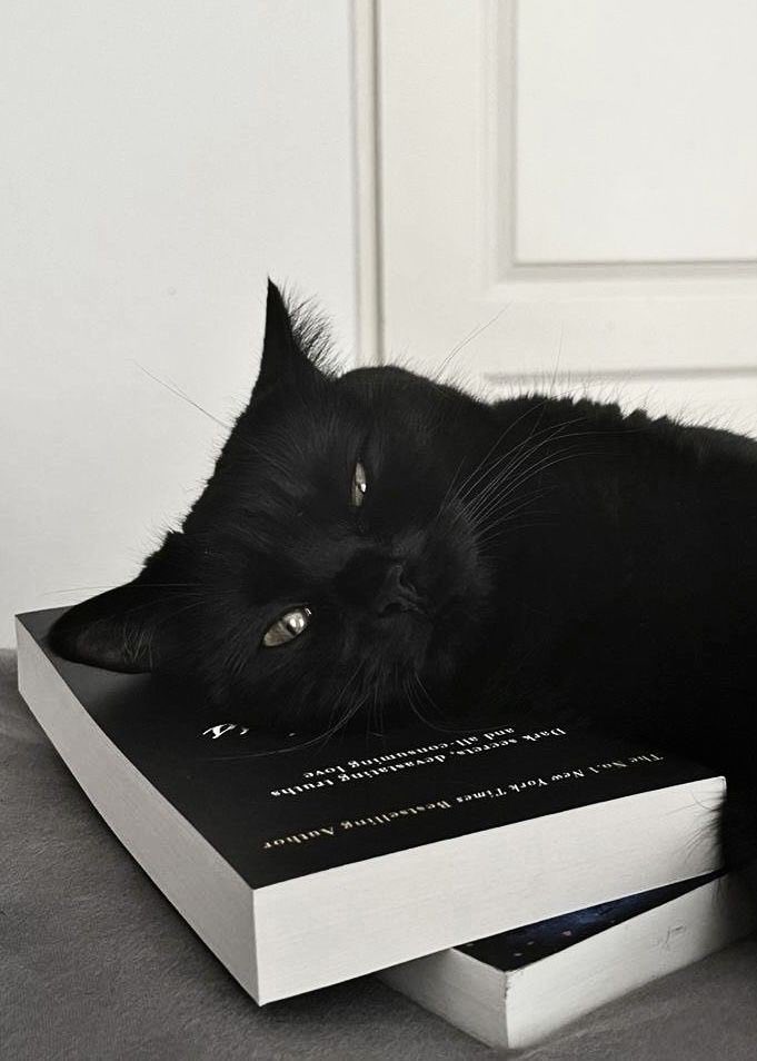 mindsfuckk's tweet photo. 𓍼 ִֶָ ࣪★˙⋆ livros lidos em 2026 ･ﾟ*
                — thread ･ﾟ* https://t.co/NQn0M6KFRY