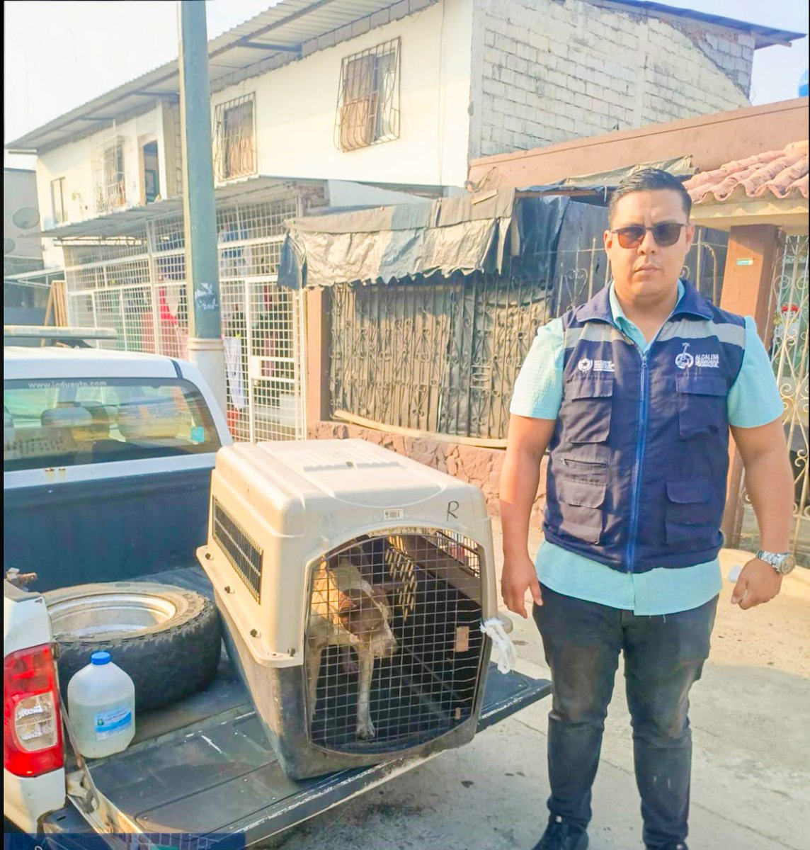 Tras el reporte ciudadano sobre un perrito herido en el Puente de la 17, el personal de <a href="/Proanimal_gye/">ProAnimal_gye</a> realizó el rescate y posterior valoración.

¡Gracias por tu reporte! 🐾

#CiudadDeTodos