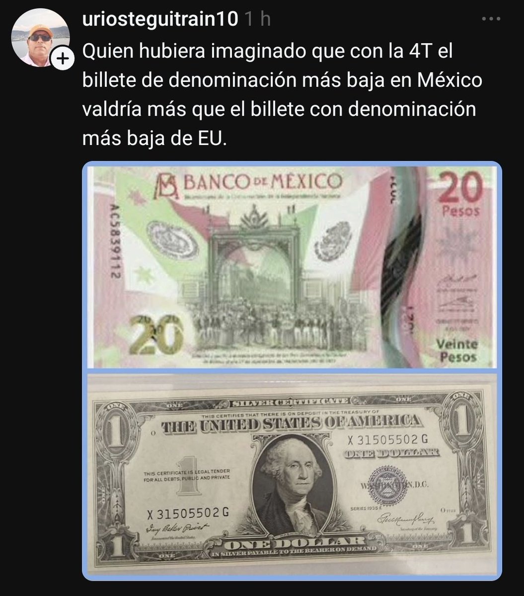 ZuritaCarpio tweet media