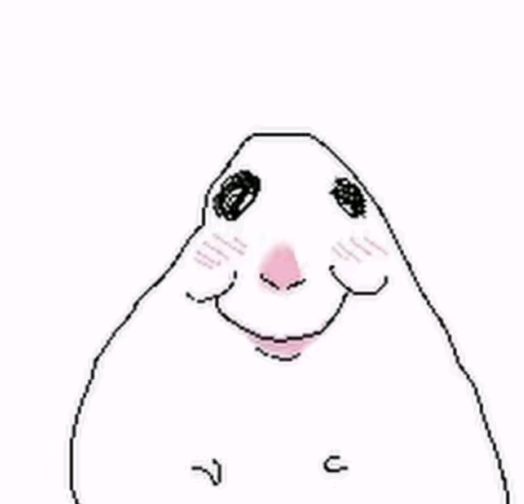 hannahbugz ₊✩‧₊˚౨ৎ˚₊✩‧₊ tweet media