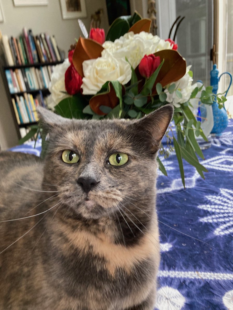 Joyce Carol Oates tweet media