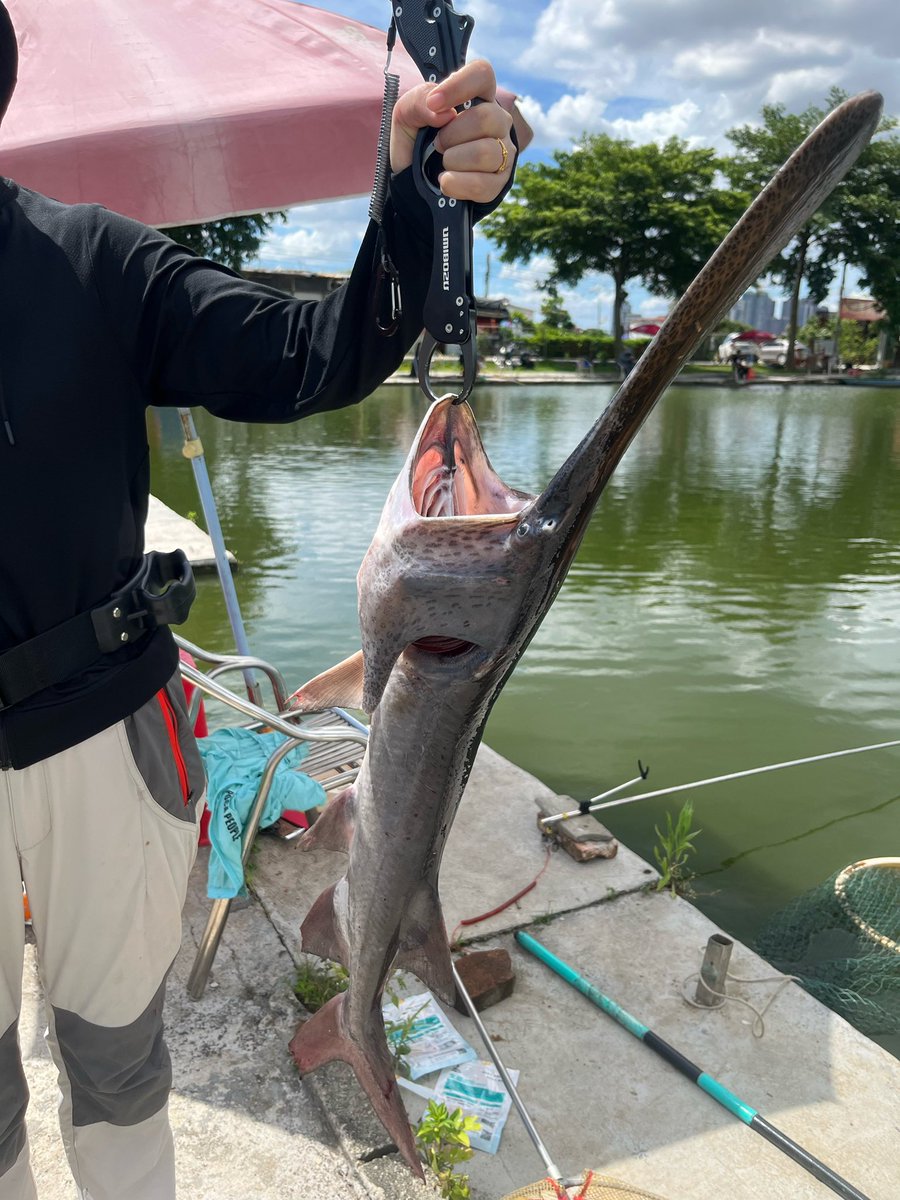 釣りという趣味 (@XieNaFishing) / Posts / X