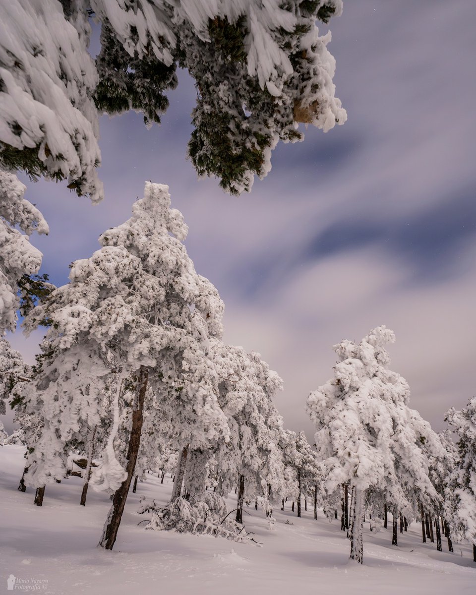 Mario17N's tweet image. Noche bajo cero en la provincia de Almería, impresionaste paisajes, estas son algunas de las fotos que he podido hacer. 29/12/25