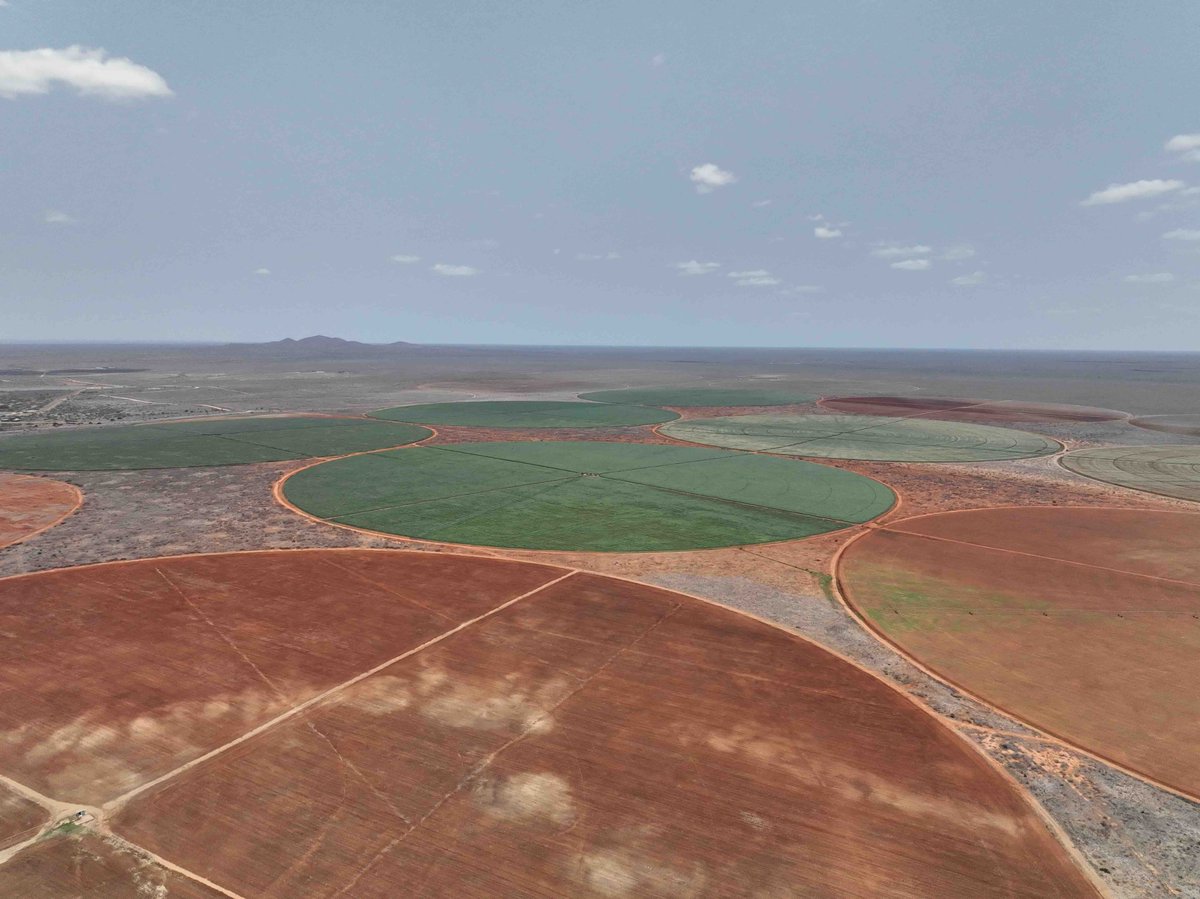 National Irrigation Authority tweet media