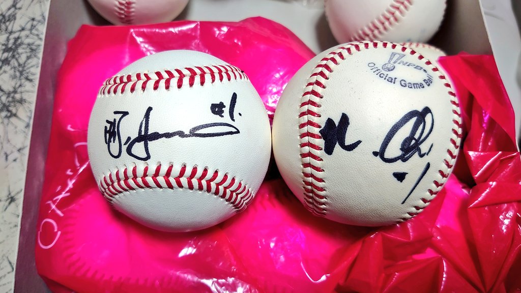 2日がかりの自室大掃除完了。普段から整理清掃しないツケが掃除中の