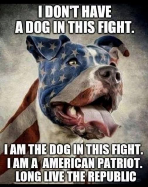 Who else?!?🇺🇸🔥