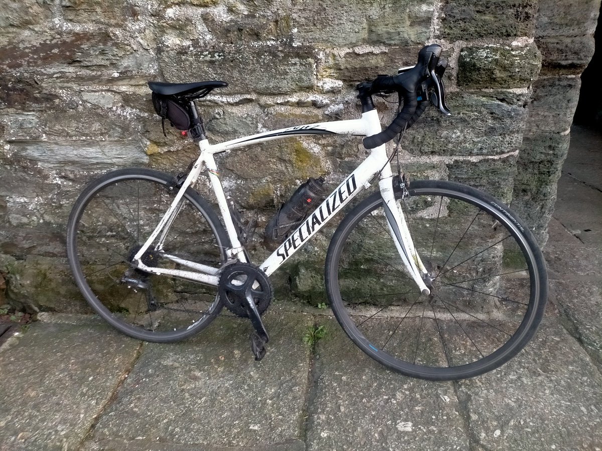 Tim Webster tweet media